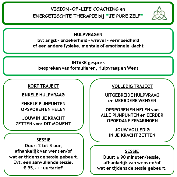 Vision-of-Life coaching sessies